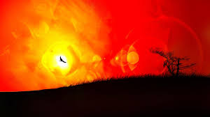Yellow Black Red 1920x1080 Download Hd Wallpaper Wallpapertip This gallery is a collection of high quality, high definition black and yellow wallpapers. download hd wallpaper
