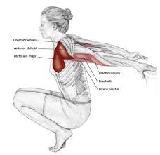Assisted Reverse Shoulder Stretch Common Neck Shoulder Stretching Exercises Frozenshoulde Shoulder Stretching Exercises Yoga Anatomy Stretching Exercises