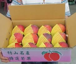 1:soka kaku 2:li yi mel 3:ellis liu 請得獎得獎人與我們連絡告知配送地址哦! å±æ±æž‹å±±æ„›æ–‡èŠ'æžœ å¤§æžœ åå°æ–¤å¤§ç®± é„°é„‰è‰¯é£Ÿç¤¾æœƒä¼æ¥­