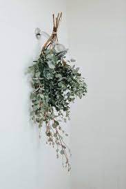 How To Make Your Shower As Relaxing As A Bath Bathroom Plants Eucalyptus Shower Spa Like Bathroom