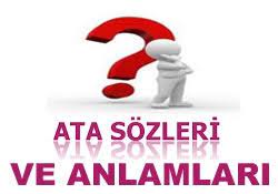 suruden ayrilani kurt kapar atasozunun anlami huzur sayfasi islami bilgi kaynaginiz
