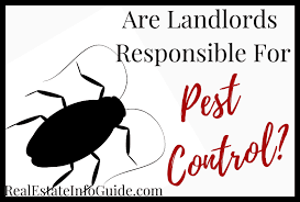 Do landlords pay for pest control? Are Landlords Responsible For Pest Control Real Estate Info Guide