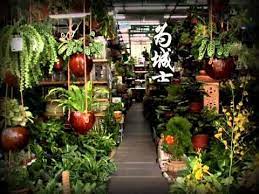 槟城有够力 第19集part3b 3 12岁就跟着父亲到处去卖布 高中毕业后当一名销售员 但是他从小打从心里就有个小小的梦想 那就是开间属于自己的花 店 8年前他终于如愿以偿 在闹市中开了第一间属于自己的花店