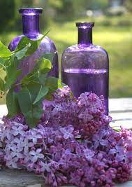 52 Flea Playing With Lilacs Purple Bottle Purple Flowers Lilac