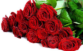 Regala uno splendido mazzo di rose rosse completato da dettagli di verde decorativo. Mazzi Di Rose Rosse Consegna A Milano E Roma In Giornata
