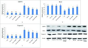 The effect of selenium and polysaccharide of Atractylodes macrocephala  Koidz. (PAMK)