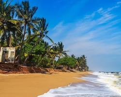 Image of Auroville Beach