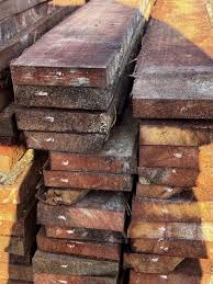 Image result for Pycnanthus angolensis