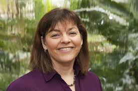 Amazon.com: Success Wisdom: By Deaf and Hard of Hearing People eBook :  Putz, Karen: Kindle Store