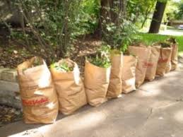 Organics (kitchen waste, agro waste, garden waste). Yard Waste Brooklyn Park