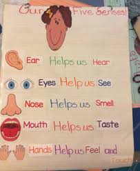 Five Senses Anchor Chart Senses Preschool Five Senses
