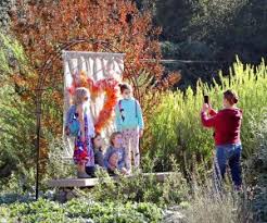 Beautiful descanso gardens boasts 160 acres of flora, including flowers that are probably in bloom right now. Descanso Gardens An Insider S Guide To La S Best Garden For Kids Mommypoppins Things To Do In Los Angeles With Kids