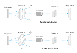 Image result for Polarized Microscopy