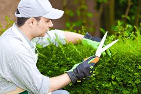 Bei 250.000 euro macht das entsprechend 30.000 bis 45.000 euro! Gartenpflege Gartner Preise Tipps Im Uberblick