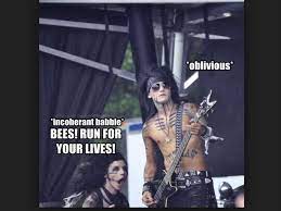 Pitts jake emo veil brides memes andy ashley purdy biersack shy age mocha kemp aaron submitted admin coma christian band. Bees Run For Your Lives Black Veil Brides Meme Black Veil Brides Black Viel Brides Black Veil