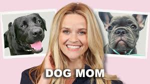 Reese Witherspoon chats about her dog's weird mood with dog expert Tamar  Geller
