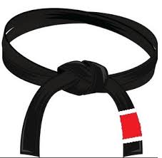 Fold your belt in half and find the middle point. Jiu Jitsu Belts Explained The Ultimate Bjj Belts Guide Laptrinhx News