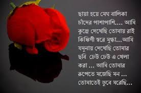 এক দশকের কাব্য: এক দশকের কাব্য (ধারাবাহিক উপন্যাস )