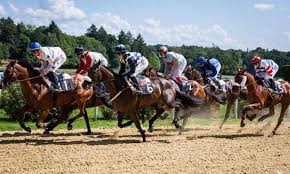 paris sur les courses de chevaux en ligne sécurisés
