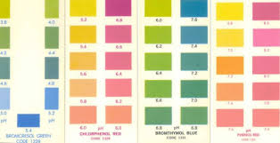 Phenol Red Color Usdchfchart Com