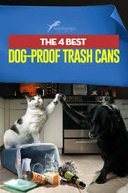 4 Best Pet Proof Trash Cans For Dog Owners In 2020 Dog Proof Trash Can Pet Proof Puppy Proofing