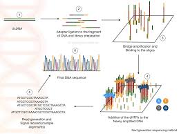 Genetic Education All Articles Dna Sequencing Explore Dna Sequencing History Steps Methods Applicatio In 2020 Dna Sequence Next Generation Sequencing Sequencing