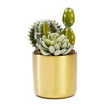 5 out of 5 stars with 2 ratings. Metallic Gold Succulent Plant Pot 4 Inch Pot Can Hold Large Small Succulents Cactus And Flowers Cylindrical Modern Design Gold For In Style Look Wantitall