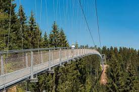 baumwipfelpfad schwarzwald hangebrucke wildline in bad wildbad baumwipfelpfad schwarzwald baumwipfelpfad schwarzwald