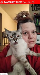 Magnolia Apartments Goldmine Rd Sharing only