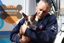 All our happy dogs and puppies have journeyed far from texas, new mexico, and eastern colorado, to find a resting place at one of our. 53 Dogs And Puppies Transported To Safety During Midwestern Rescue Animal League