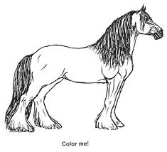 Usa Clydesdale Preservation Foundation Horse Coloring Pages Horse Coloring Horse Drawings