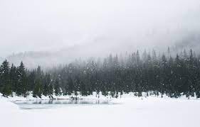 Maybe you would like to learn more about one of these? Snow Wallpapers Free Hd Download 500 Hq Unsplash