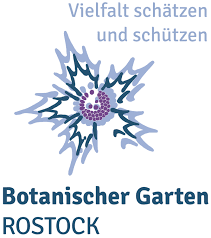 Landes Pilzausstellung Botanischer Garten Universitat Rostock