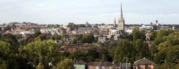 Plus, there will be a dinosaur colouring sheet for the little ones! The 10 Best Apartments In Norwich Uk Booking Com