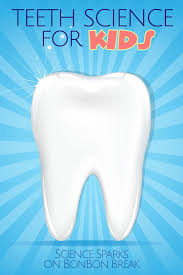 Teeth Science For Kids Why Do We Need To Take Care Of Our Teeth Bonbon Break Science For Kids Dental Kids Dental Health Activities