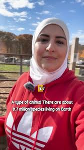 علق بكلمة الرزاق لأرسل لك الملف .. شكرا لاهتمامك