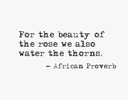 For The Beauty Of The Rose We Also Water The Thorns African Proverb African Quotes Rose Quotes Words