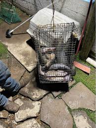 reels, call (864)612-9134 or message