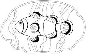 There are 20+ clownfish coloring pages of nemo and other species of clownfish, they are free and printable. Clownfish Coloring Page Free Printable Coloring Pages For Kids