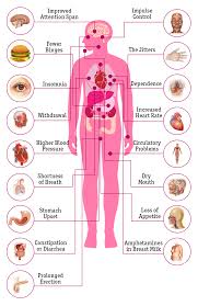 Adderall And Vyvanse Dosage Chart Www Bedowntowndaytona Com