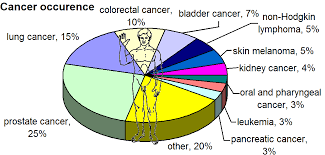 How is the cancer man cancer woman love compatibility? File Most Common Cancers Male By Occurrence Png Wikipedia