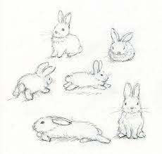 Craftsy Com Express Your Creativity Bunny Drawing Realistic Drawings Bunny Art