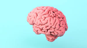 Hal-Hal yang Terjadi di Otak Ketika Melihat Pornografi - KlikDokter