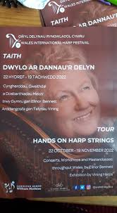 Kay Samantha Davies Harp and Flute Teacher