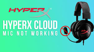 Tinklelis Dangle Optimalus Hyperx Mic Not Working Tecontareunsecreto Com