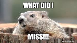 images?q=tbn:ANd9GcRZVJiIBuJ7oWltHscna6y