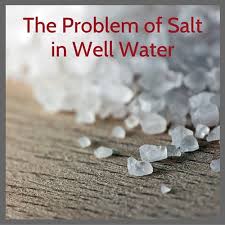 You have several options for filtering salt from your drinking water. How Do I Remove Sodium And Chloride Salt From My Well Water