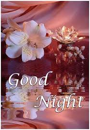 Are you searching for good night flowers images free download then your search for these beautiful flowers images will be ended here. I Love Flowers Good Night Facebook