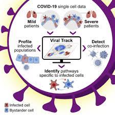 Coronavirus counter with new cases, deaths, and number of tests per 1 million population. Host Viral Infection Maps Reveal Signatures Of Severe Covid 19 Patients Sciencedirect
