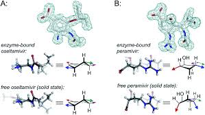 Image result for Peramivir